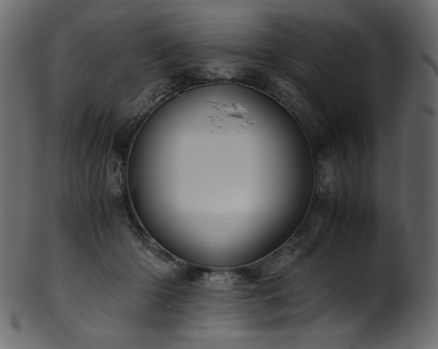 X0000101990414200807181152