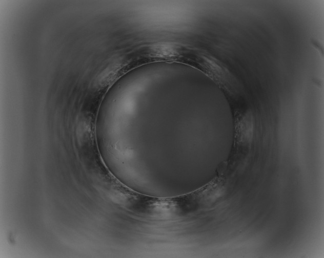 X0000101990415200807181152