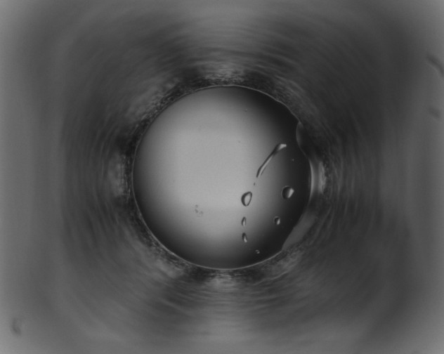 X0000101990416200807181152