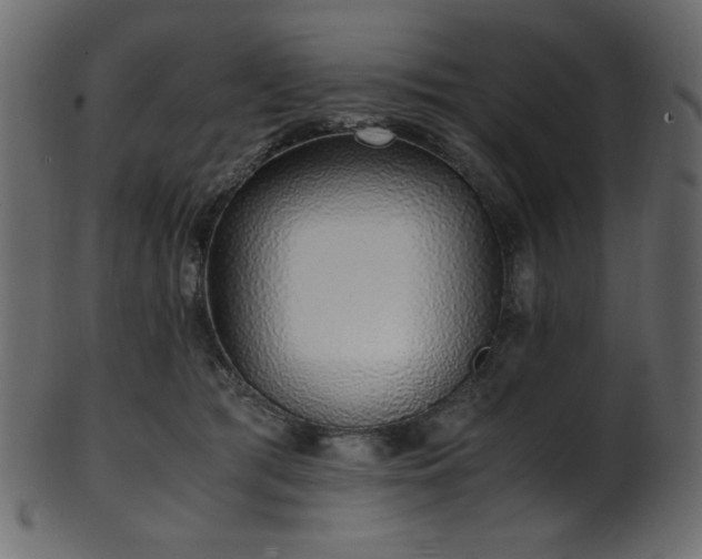 X0000101990417200807181152
