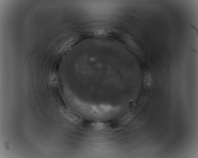 X0000101990419200807181152