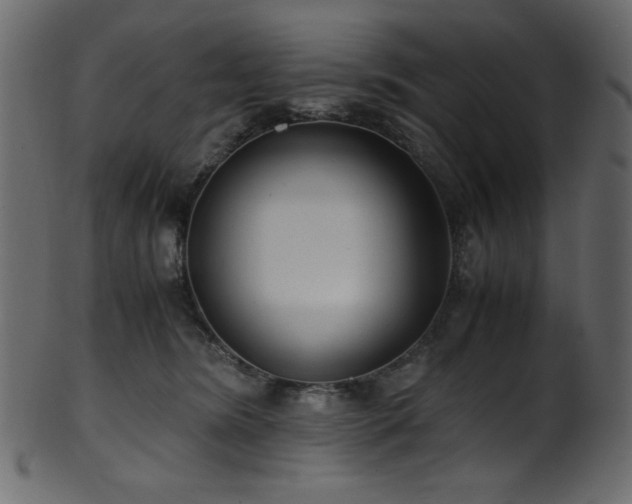 X0000101990420200807181152