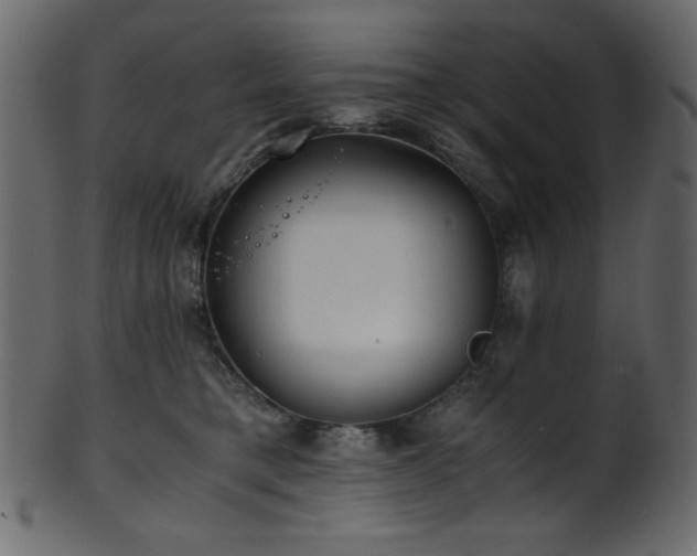 X0000101990421200807181152