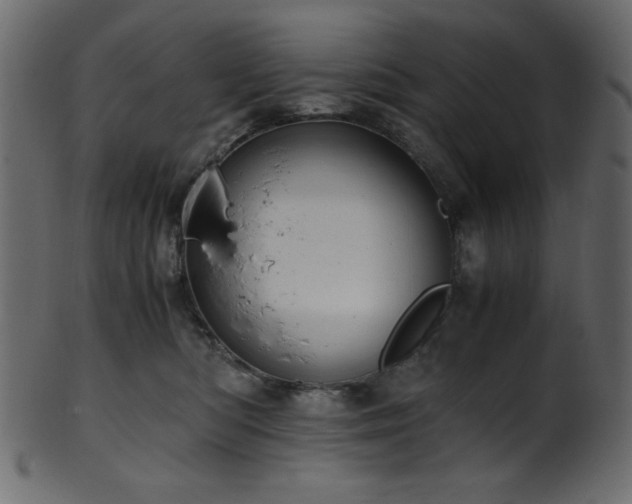 X0000101990422200807181152