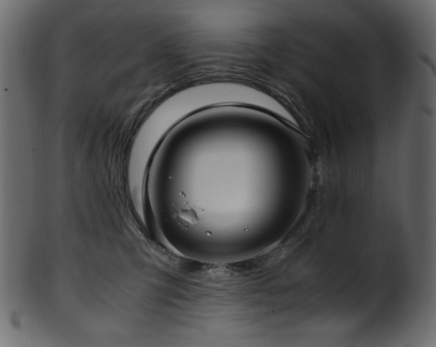 X0000101990423200807181152
