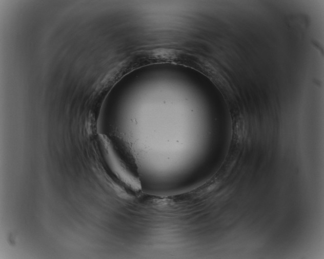 X0000101990424200807181152
