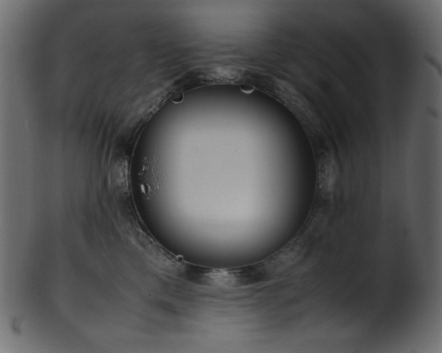 X0000101990425200807181152