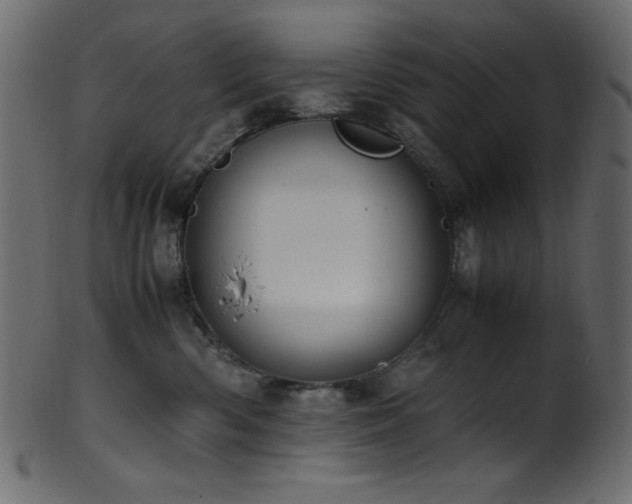 X0000101990426200807181152