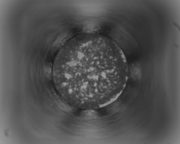 X0000101990427200807181152