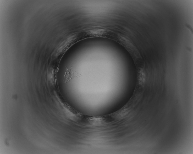 X0000101990428200807181152