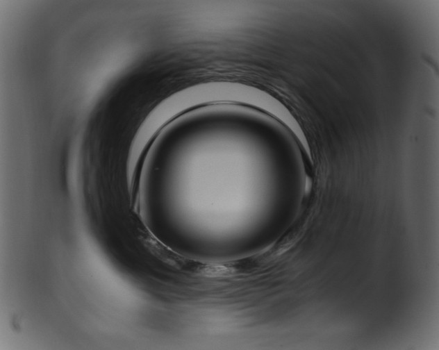 X0000101990429200807181152