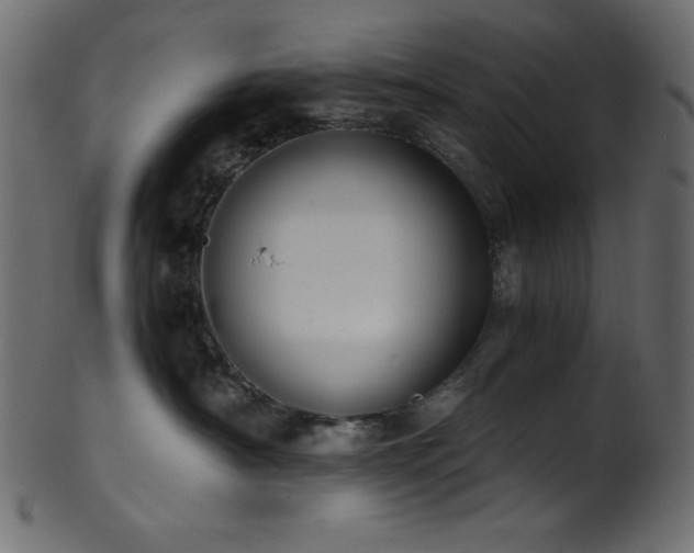 X0000101990430200807181152