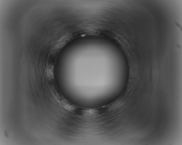 X0000101990432200807181152