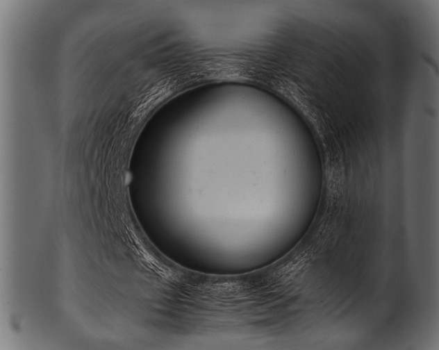 X0000101990433200807181151