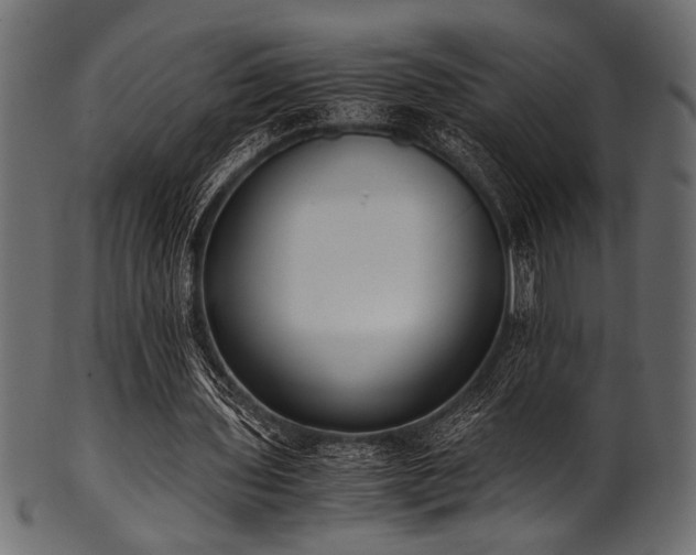 X0000101990435200807181151