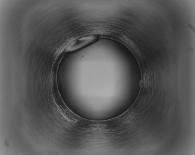 X0000101990436200807181151