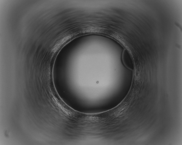 X0000101990437200807181151