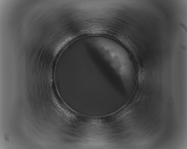 X0000101990438200807181151