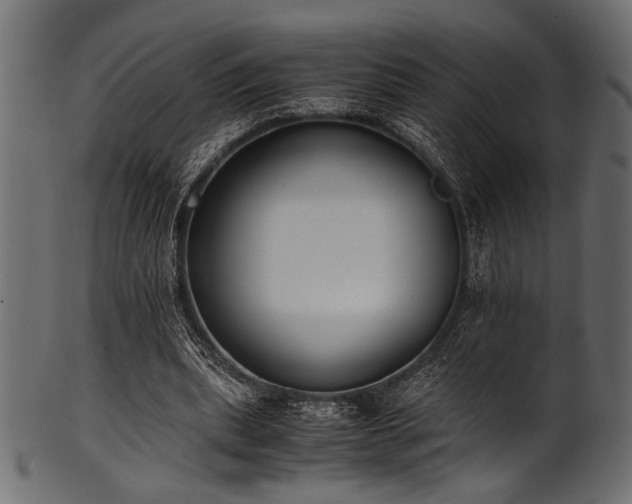 X0000101990439200807181151