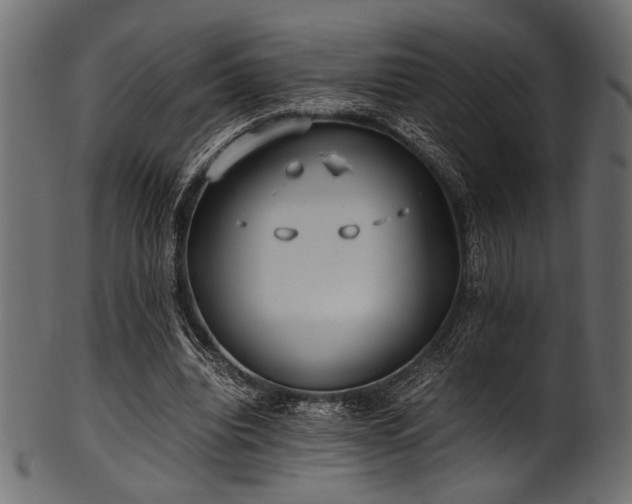 X0000101990440200807181151