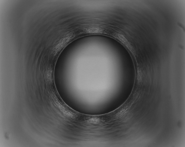 X0000101990441200807181151