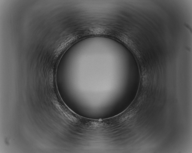 X0000101990442200807181151