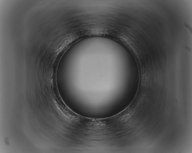 X0000101990443200807181151