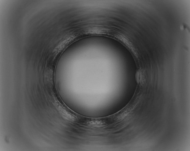 X0000101990445200807181151