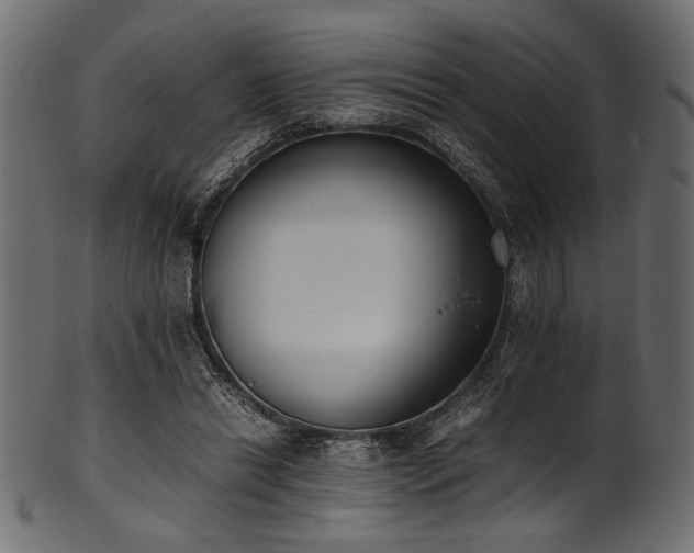 X0000101990446200807181151