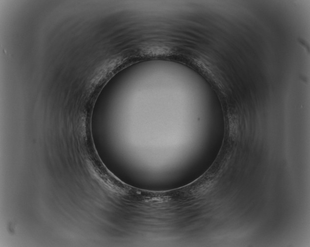 X0000101990447200807181151