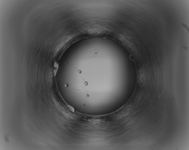 X0000101990448200807181151