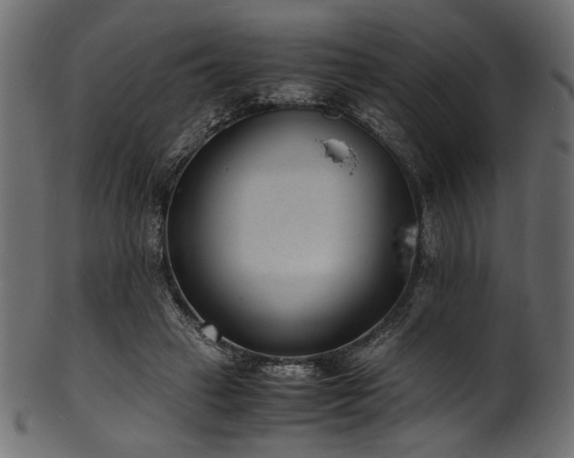 X0000101990449200807181151