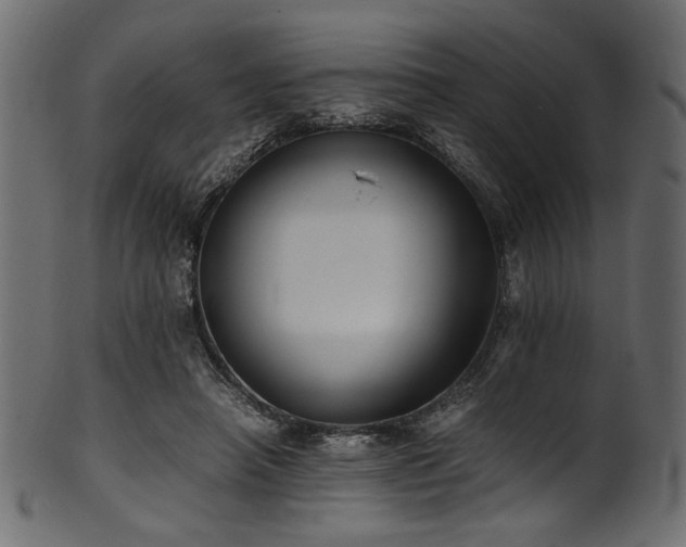 X0000101990450200807181151