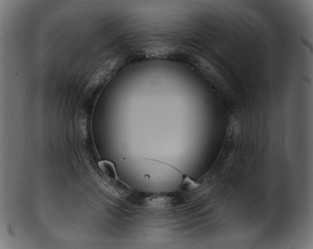 X0000101990452200807181151