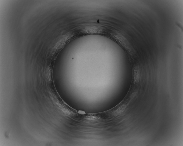 X0000101990453200807181151