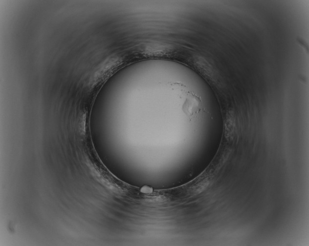 X0000101990454200807181151