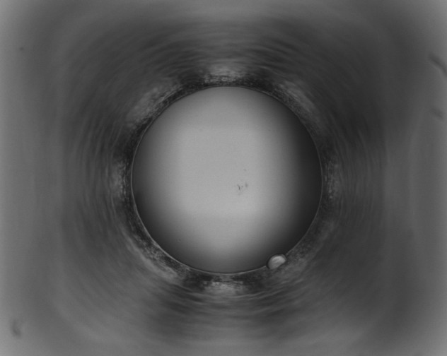 X0000101990455200807181151