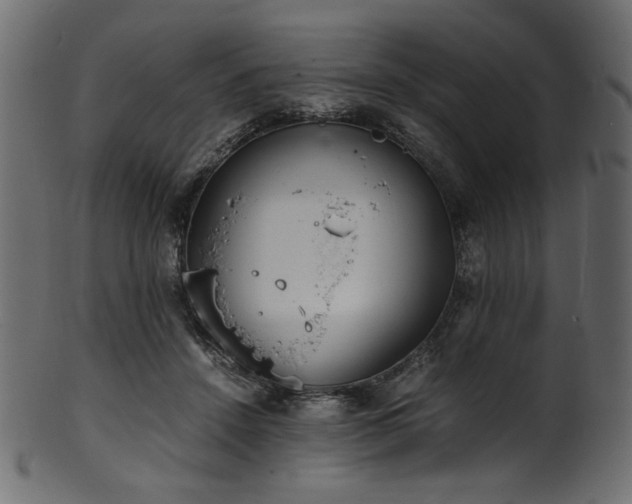 X0000101990456200807181151