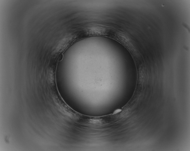 X0000101990457200807181152
