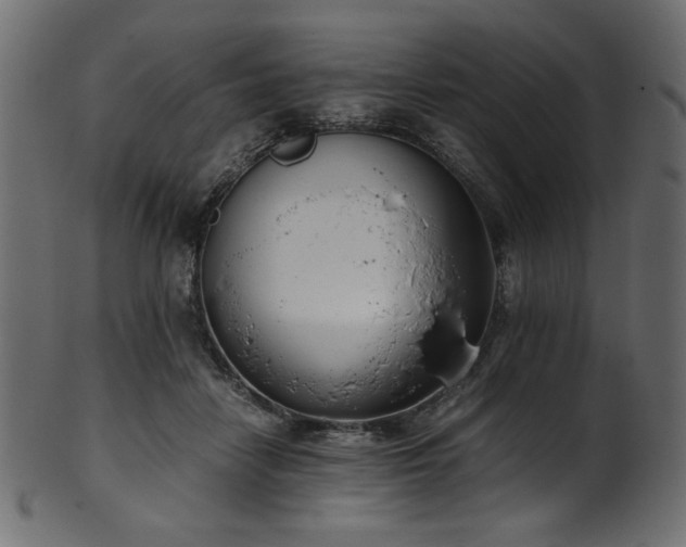 X0000101990458200807181152