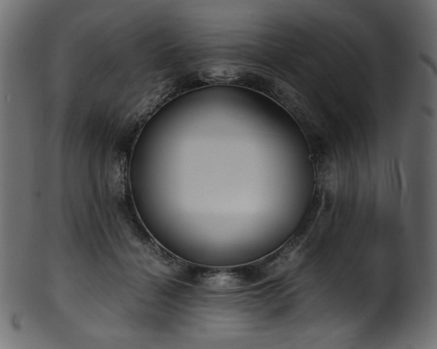 X0000101990460200807181152