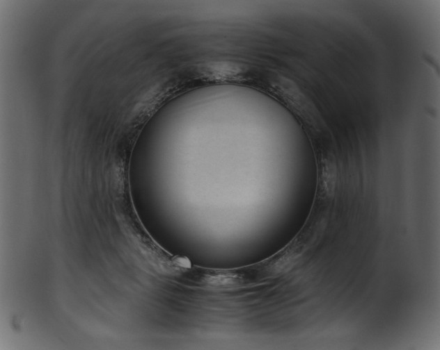 X0000101990461200807181152