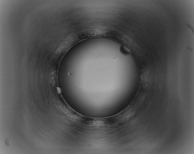 X0000101990462200807181152
