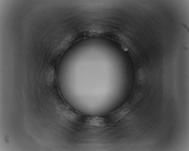 X0000101990463200807181152