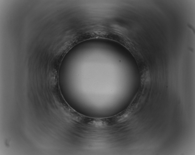 X0000101990464200807181152