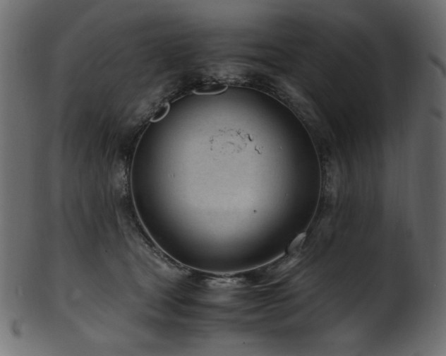 X0000101990465200807181152