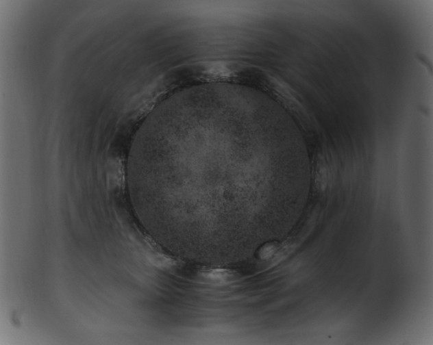 X0000101990467200807181152