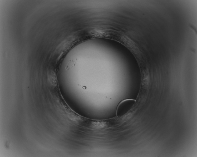 X0000101990469200807181152