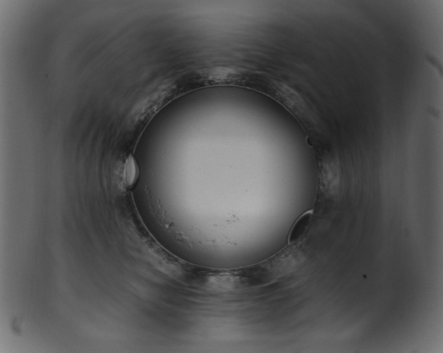 X0000101990470200807181152