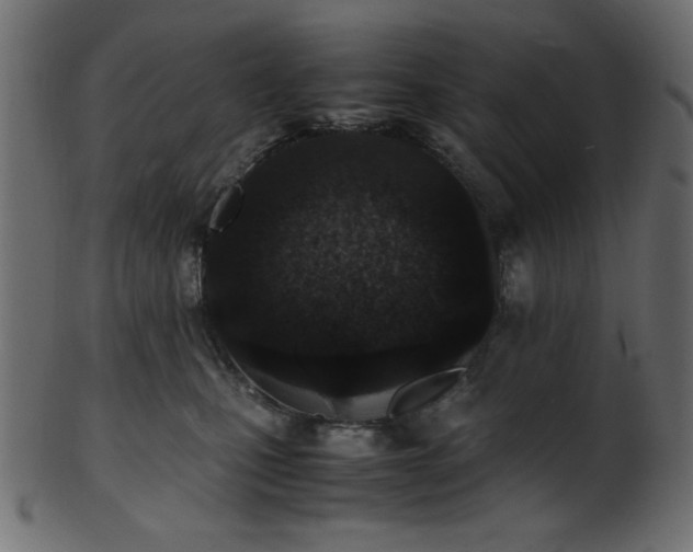 X0000101990471200807181152
